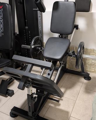 Compact Leg Press/Calf Raise 2.0, Rexgym