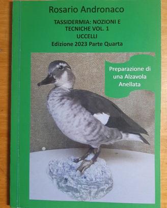 Tassidermia Preparazione di una alzavola anellata