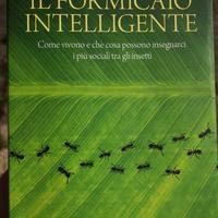 ANTS Il formicaio intelligente 