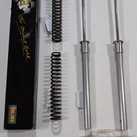 pompante con kit Andreani e molle ohlins CBR