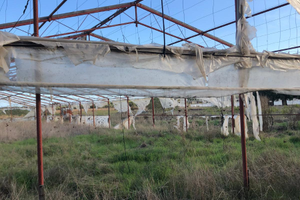 Terreno Agricolo Uta