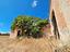 Immagine 20