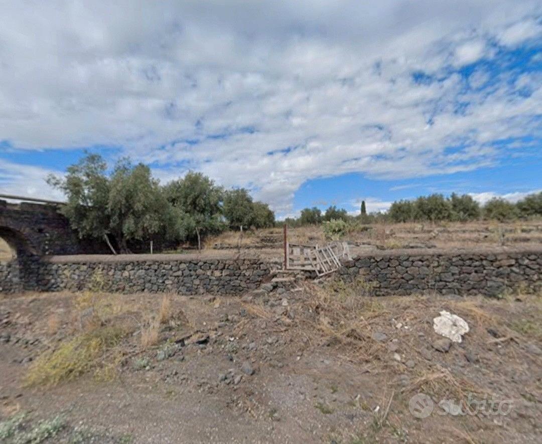 Terreno agricolo in ''CONTRADA LUPPINO'' - Vista 4