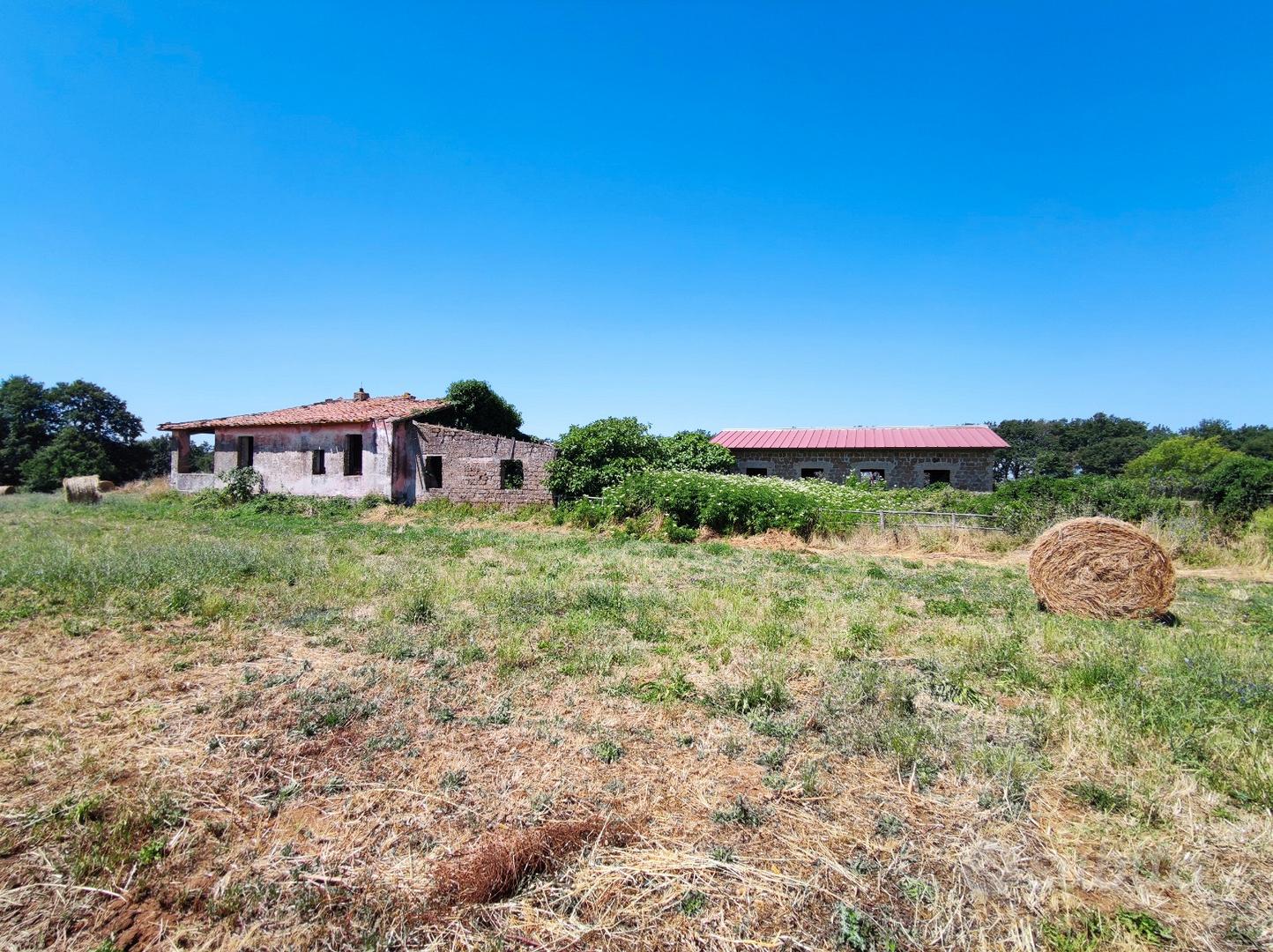 Terreno agricolo con casale e magazzino - Vista 4