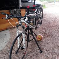 Bici da corsa Bianchi