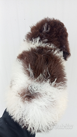Cuccioli Lagotto Romagnolo