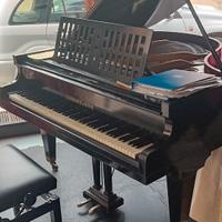 Pianoforte a mezza coda werner e sons