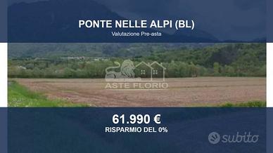 Immobile in asta di 15390 m² a Ponte nelle Alpi