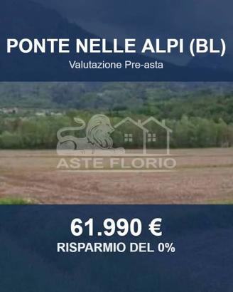 Immobile in asta di 15390 m² a Ponte nelle Alpi