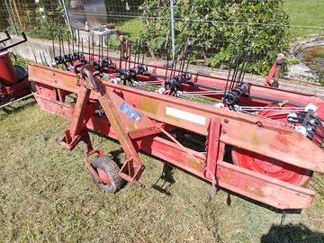 Ranghinatore Pottinger