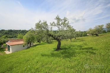 Terreno con rimessa agricola