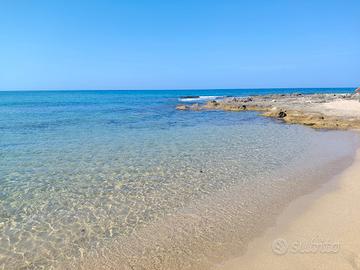 Librari immobile Torricella mare salento