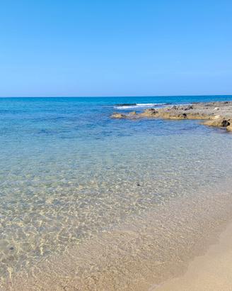 Librari immobile Torricella mare salento