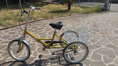 Bicicletta a tre ruote da adulto