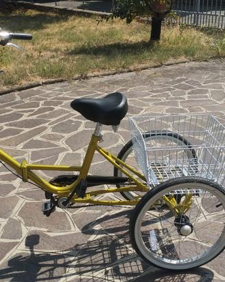 Bicicletta a tre ruote da adulto