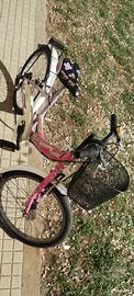 bicicletta bambina
