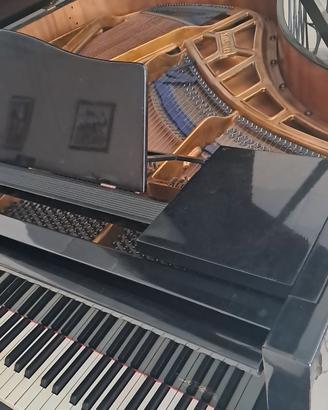pianoforte 1/2 coda Bluthner 