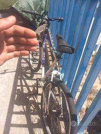 bici normale 24 