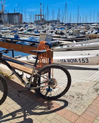 Cannondale Trail SL4  taglia  L anno 2024