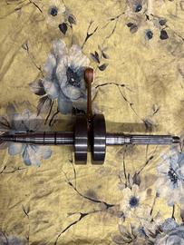 Albero carenzi spalle piene minarelli verticale