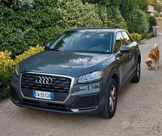 Audi Q2 1.6 tdi Business 30 Uniprop 2019