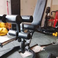 leg extension leg curl