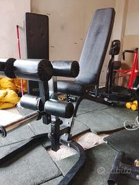 leg extension leg curl