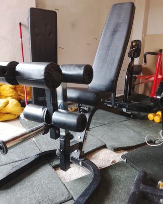 leg extension leg curl