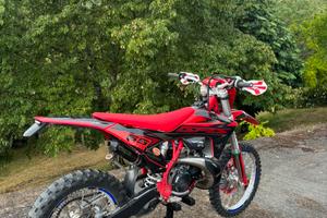 Gas gas 300 ec