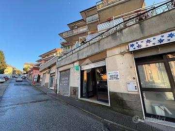 NEGOZIO A GENZANO DI ROMA