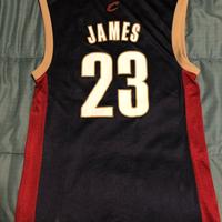 Maglia Adidas LeBron James