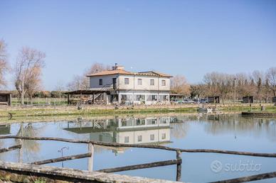 CASA INDIPENDENTE A RONCIGLIONE