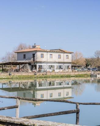 CASA INDIPENDENTE A RONCIGLIONE