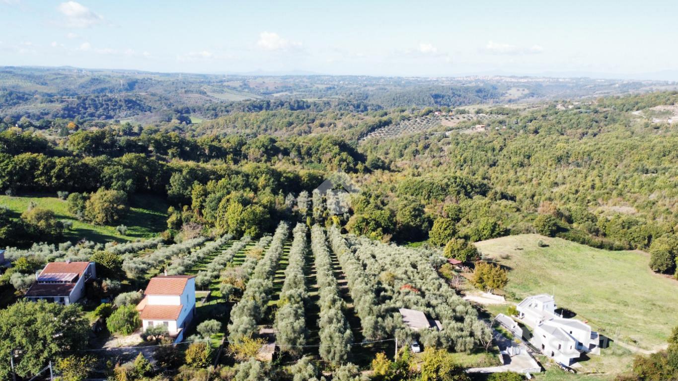 TER. AGRICOLO A FIANO ROMANO - Vista 5