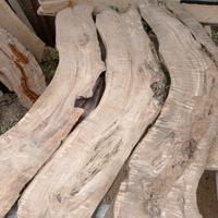 Tavole in legno d'ulivo