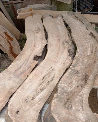 Tavole in legno d'ulivo