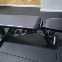 panca regolabile lacertosus