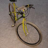 MTB  BIANCHI THOMISUS RAGNO 
