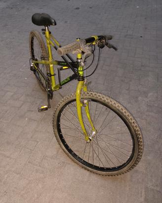 MTB  BIANCHI THOMISUS RAGNO 