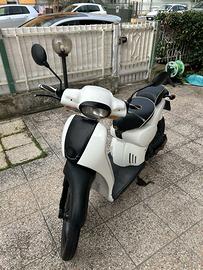 Scarabeo 50