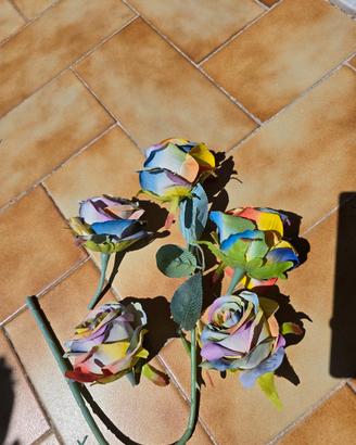 Rose arcobaleno 🌈