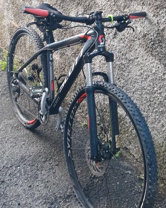 bicicletta 
