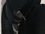 Immagine 4