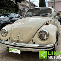 VOLKSWAGEN Maggiolino 11/D11