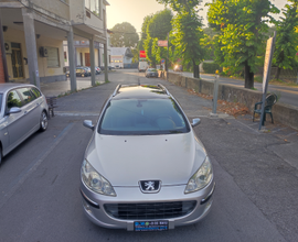 Peugeot 407 SW Premium - 2007