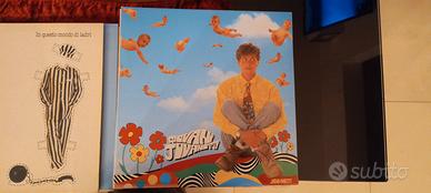 dischi in vinile 
