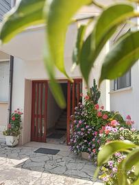 PRIMA QUINDICINA AGOSTO in CENTRO 50mt dal MARE