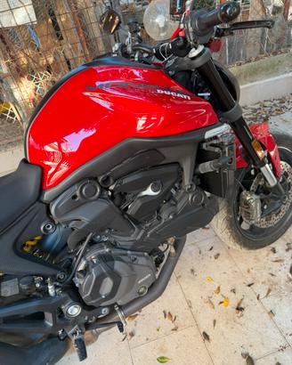 Ducati monster