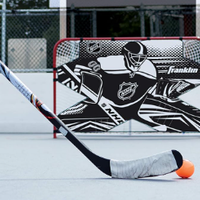 Porta da Hockey con aggiunta di figura