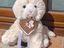 Immagine 1